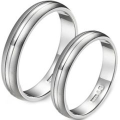 (Wholesale)Tungsten Carbide Dome Double Groove Ring - TG3471